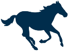 Luna Mystics Equine Sanctuary