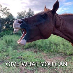 Give-What-You-Can